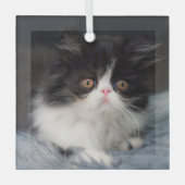 Niedliche Kleintiere | Fluffy B&W Kitten Ornament Aus Glas (Vorderseite)