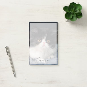 Niedliche Kleintiere Fluffy B&W Kitten Post-it Klebezettel