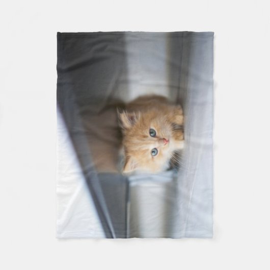 Niedliche Kleintiere | Fluffy Orange Kitten Fleecedecke (Vorderseite)