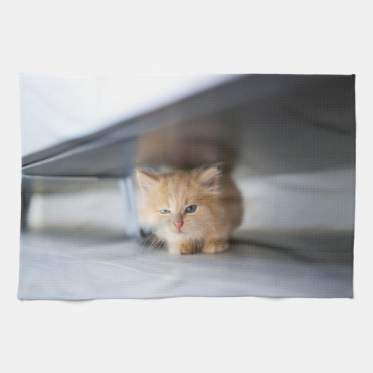 Niedliche Kleintiere | Fluffy Orange Kitten Geschirrtuch (Horizontal)