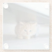 Niedliche Kleintiere | Fluffy Orange Kitten Glasuntersetzer (Rückseite)
