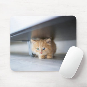 Niedliche Kleintiere Fluffy Orange Kitten Mousepad