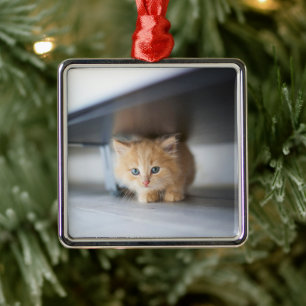 Niedliche Kleintiere   Fluffy Orange Kitten Ornament Aus Metall
