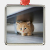 Niedliche Kleintiere | Fluffy Orange Kitten Ornament Aus Metall (Vorne)