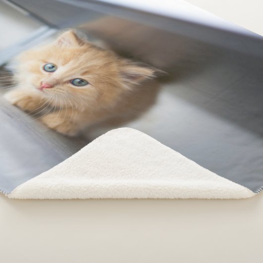 Niedliche Kleintiere | Fluffy Orange Kitten Sherpadecke (3/4)