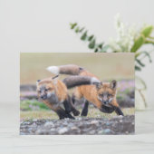 Niedliche Kleintiere | Fox-Jungtiere im Spiel Dankeskarte (Stehend Vorderseite)