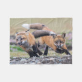 Niedliche Kleintiere | Fox-Jungtiere im Spiel Fleecedecke (Vorderseite (Horizontal))