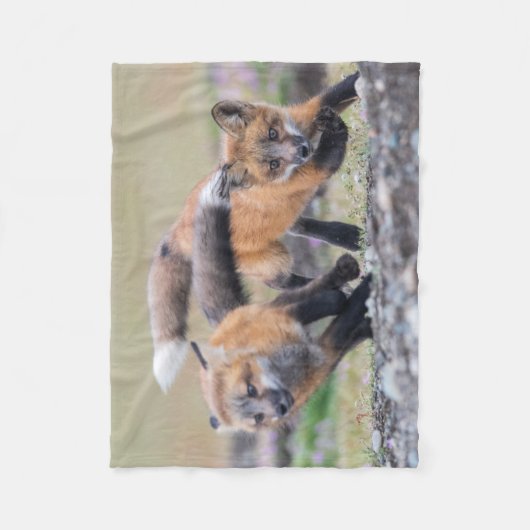 Niedliche Kleintiere | Fox-Jungtiere im Spiel Fleecedecke (Vorderseite)
