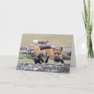 Niedliche Kleintiere   Fox-Jungtiere im Spiel Karte