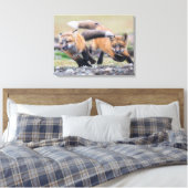 Niedliche Kleintiere | Fox-Jungtiere im Spiel Leinwanddruck (Insitu (Schlafzimmer))