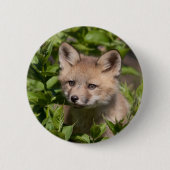 Niedliche Kleintiere | Fox-Kit Button (Vorderseite)
