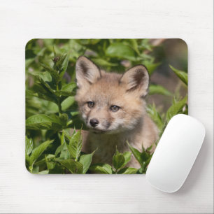 Niedliche Kleintiere   Fox-Kit Mousepad