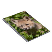 Niedliche Kleintiere | Fox-Kit Notizblock (Rechte Seite)