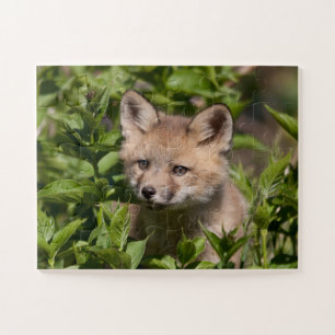 Niedliche Kleintiere Fox-Kit Puzzle