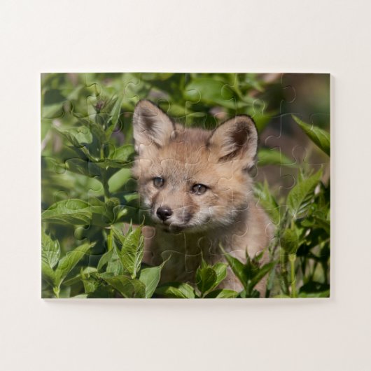 Niedliche Kleintiere | Fox-Kit Puzzle (Horizontal)