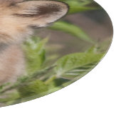 Niedliche Kleintiere | Fox-Kit Schneidebrett (Ecke)