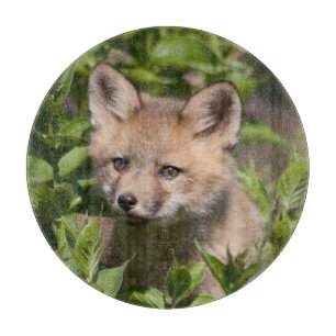 Niedliche Kleintiere Fox-Kit Schneidebrett
