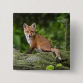 Niedliche Kleintiere | Foxy Smile Button (Vorderseite)