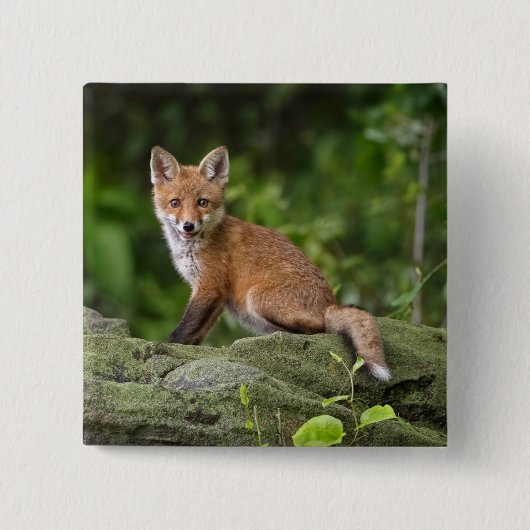 Niedliche Kleintiere | Foxy Smile Button (Vorderseite)