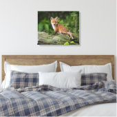 Niedliche Kleintiere | Foxy Smile Leinwanddruck (Insitu (Schlafzimmer))