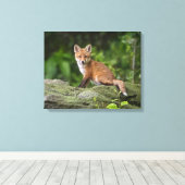 Niedliche Kleintiere | Foxy Smile Leinwanddruck (Insitu (Holzboden))