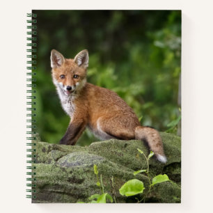 Niedliche Kleintiere Foxy Smile Notizblock