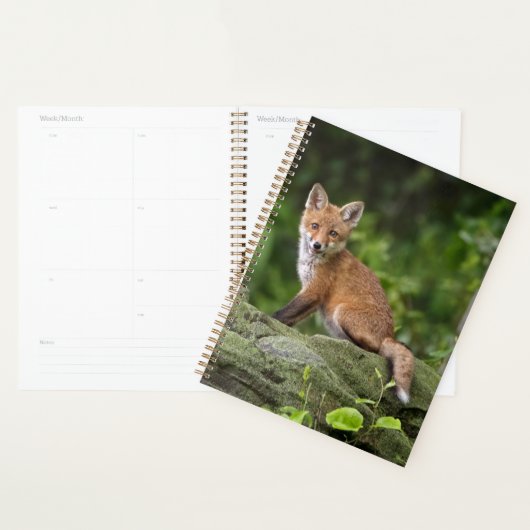 Niedliche Kleintiere | Foxy Smile Planer (Anzeige)