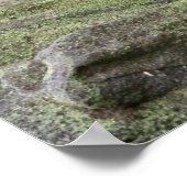 Niedliche Kleintiere | Foxy Smile Poster (Ecke)