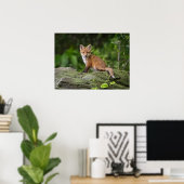 Niedliche Kleintiere | Foxy Smile Poster (Heimbüro)