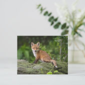 Niedliche Kleintiere | Foxy Smile Postkarte (Stehend Vorderseite)