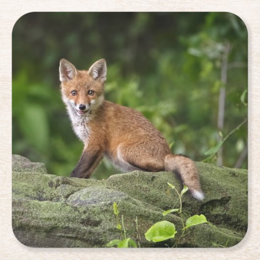 Niedliche Kleintiere | Foxy Smile Rechteckiger Pappuntersetzer (Vorderseite)