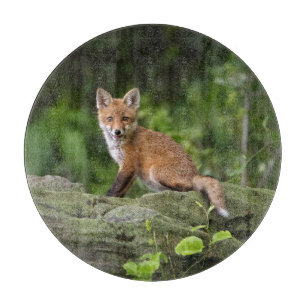 Niedliche Kleintiere Foxy Smile Schneidebrett