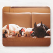 Niedliche Kleintiere | Französische Bulldog-Famili Mousepad (Vorne)