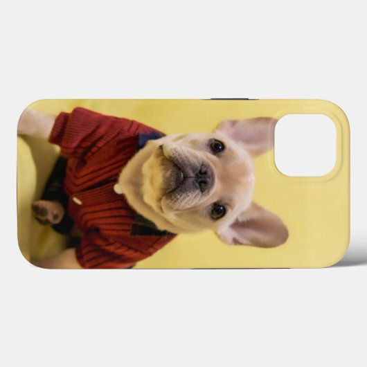 Niedliche Kleintiere | Französischer Bulldog Dress Case-Mate iPhone Hülle (Rückseite (Horizontal))
