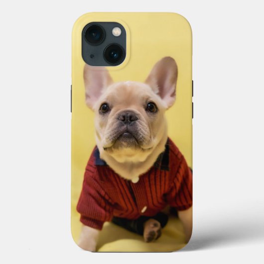 Niedliche Kleintiere | Französischer Bulldog Dress Case-Mate iPhone Hülle (Rückseite)