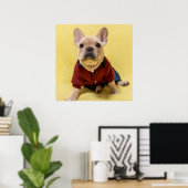 Niedliche Kleintiere | Französischer Bulldog Dress Poster (Heimbüro)