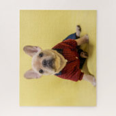 Niedliche Kleintiere | Französischer Bulldog Dress Puzzle (Vertikal)