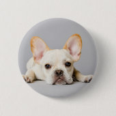 Niedliche Kleintiere | Französischer Bulldog flieg Button (Vorderseite)