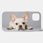 Niedliche Kleintiere | Französischer Bulldog flieg Case-Mate iPhone Hülle (Rückseite (Horizontal))