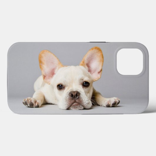 Niedliche Kleintiere | Französischer Bulldog flieg Case-Mate iPhone Hülle (Rückseite (Horizontal))