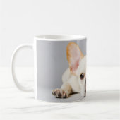 Niedliche Kleintiere | Französischer Bulldog flieg Kaffeetasse (Links)
