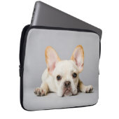 Niedliche Kleintiere | Französischer Bulldog flieg Laptopschutzhülle (Vorne Rechts)