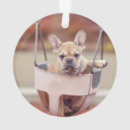 Niedliche Kleintiere | Französischer Bulldog-Playg Ornament (Rückseite)
