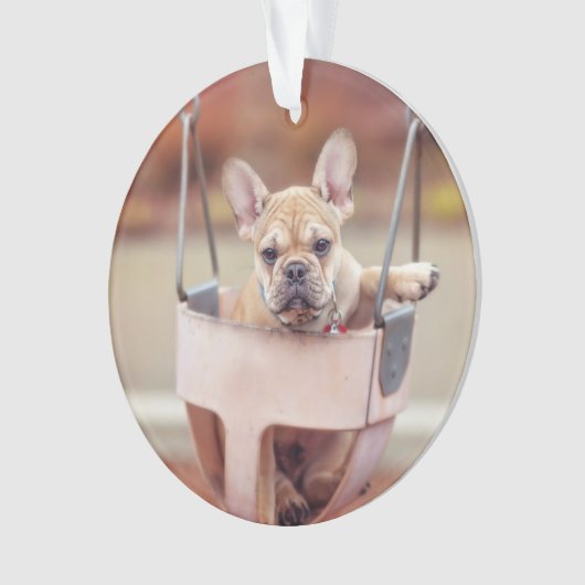 Niedliche Kleintiere | Französischer Bulldog-Playg Ornament (Vorderseite)