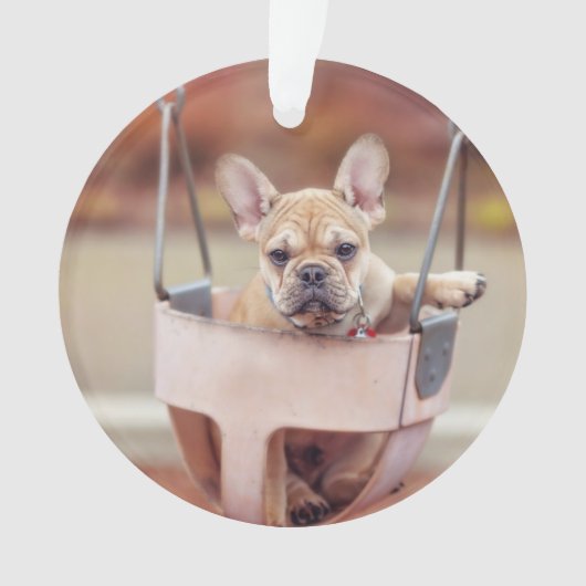 Niedliche Kleintiere | Französischer Bulldog-Playg Ornament (Vorderseite)
