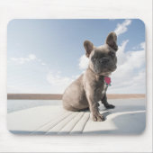 Niedliche Kleintiere | Französisches Bulldog-Boot Mousepad (Vorne)