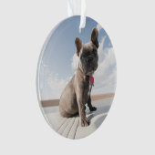 Niedliche Kleintiere | Französisches Bulldog-Boot Ornament (Vorderseite)