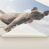 Niedliche Kleintiere | Französisches Bulldog-Boot Sherpadecke (3/4)