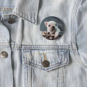 Niedliche Kleintiere French Bulldog Button
