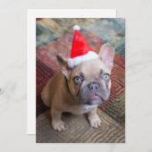 Niedliche Kleintiere | French Bulldog Christmas Dankeskarte (Vorne/Hinten)